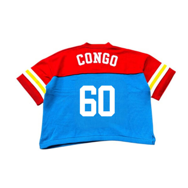Short Sleeve Knit Jersey - Image 2