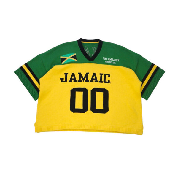 Short Sleeve Knit Jersey - Image 3