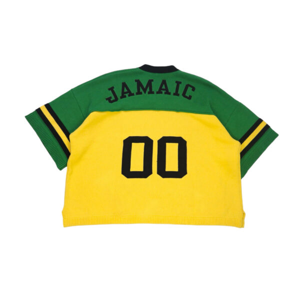 Short Sleeve Knit Jersey - Image 4